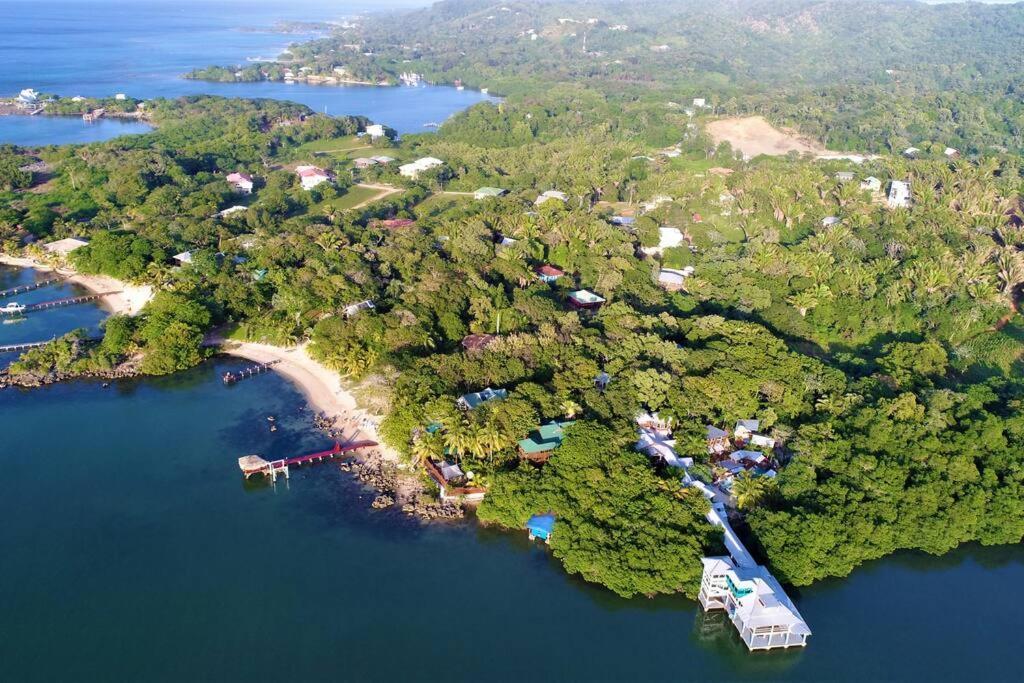 The Dock Resort Over Water Retreat Вест-Энд Экстерьер фото
